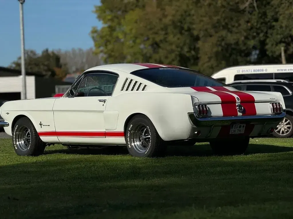 Gebraucht Ford Mustang Fastback 175 PS (128 kW) 1965 Weiß