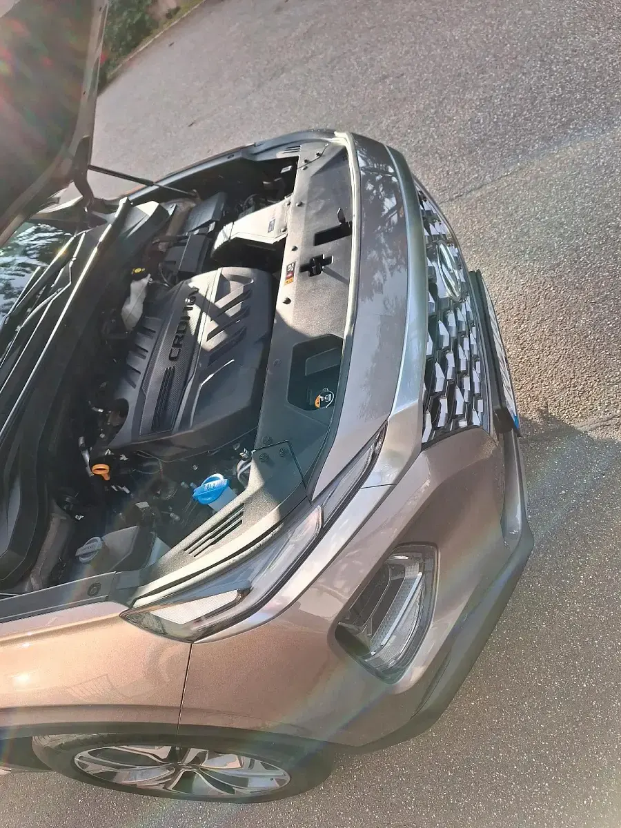 Gebraucht Hyundai Santa Fe Premium 200 PS (147 kW) 2020 SUV