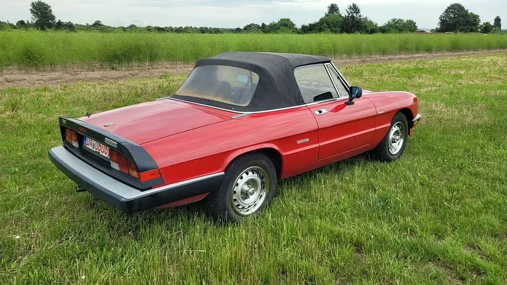 Gebraucht Alfa Romeo Spider 116 PS (85 kW) 1987 Rot Cabrio