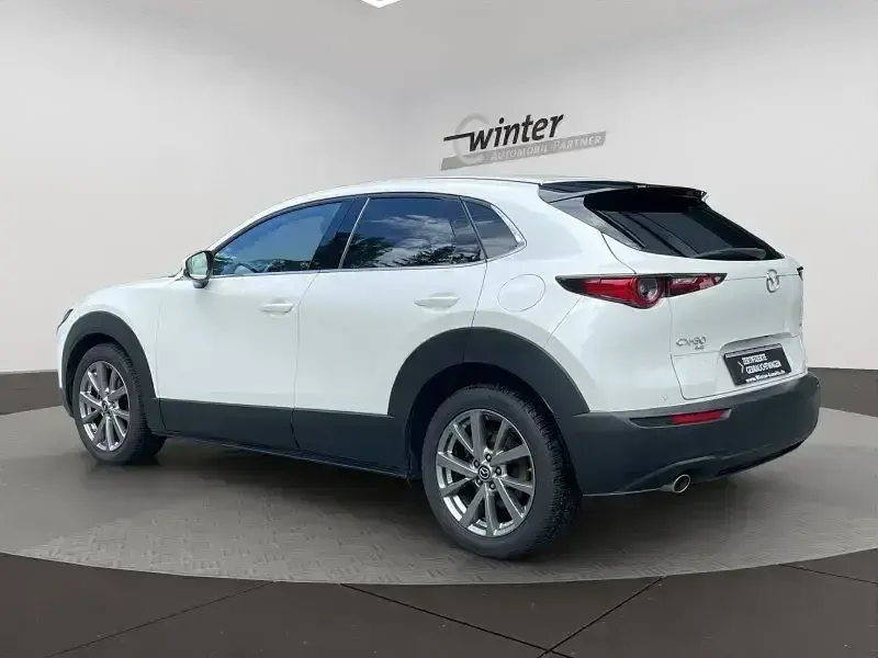 Gebraucht Mazda CX-30 Selection 122 PS (89 kW) 2019 Weiß SUV