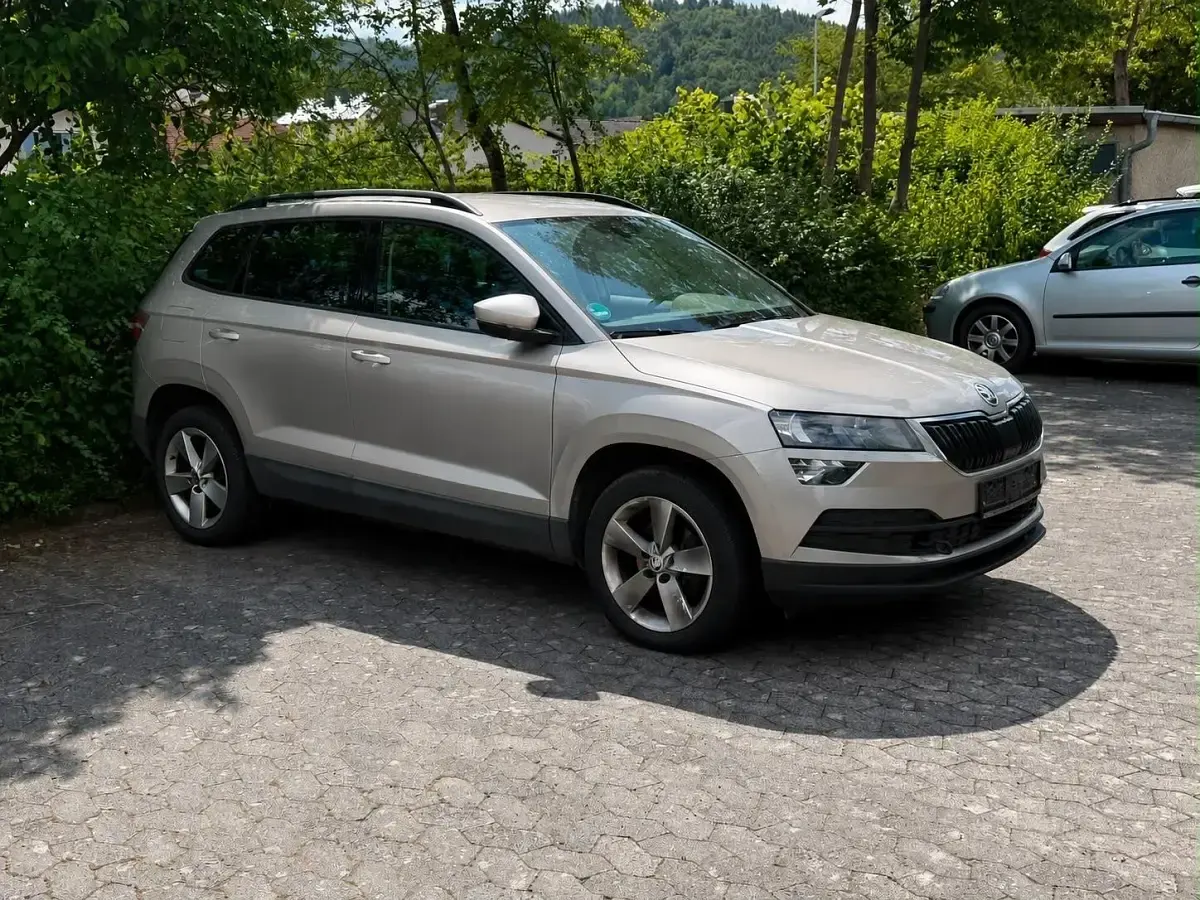 Gebraucht Skoda Karoq 116 PS (85 kW) 2019 Grau SUV