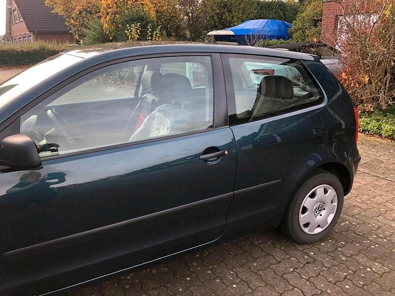 Gebraucht VW Polo Edition 60 PS (44 kW) 2001 Grün Kleinwagen