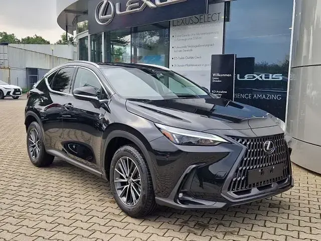 Gebraucht Lexus NX350h Business Edition 243 PS (178 kW) 2024 SUV