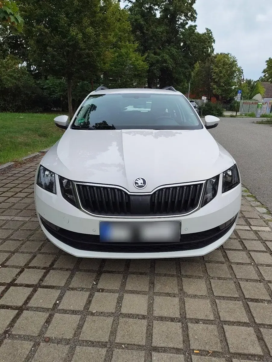 Gebraucht Skoda Octavia Ambition 150 PS (110 kW) 2018 Weiß Kombi