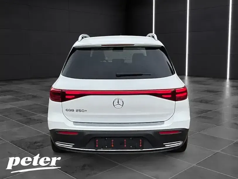 Gebraucht Mercedes EQB250+ Progressive 139 kW (190 PS) 2024 Weiß SUV