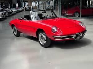 Gebraucht Alfa Romeo Spider 109 PS (80 kW) 1966 Rot Cabrio
