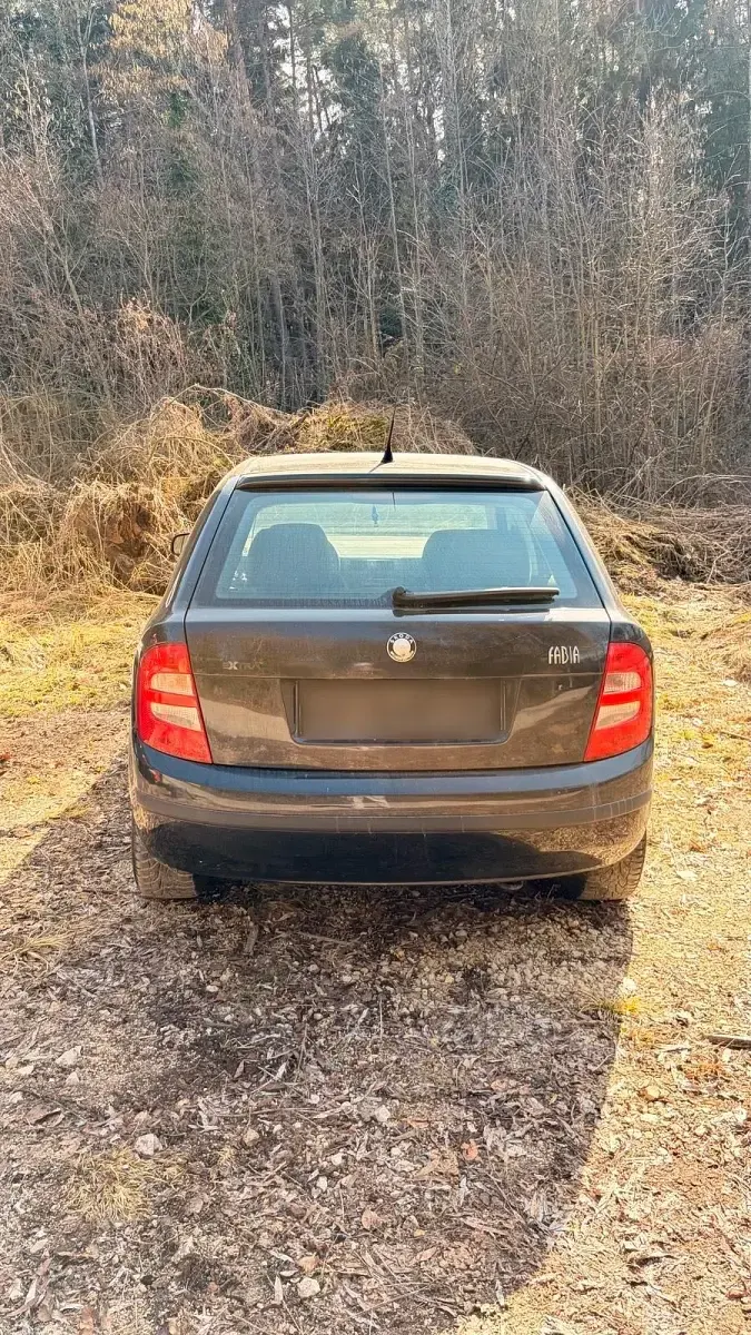 Używany Skoda Fabia 75 KM (55 kW) 2004 Hatchback