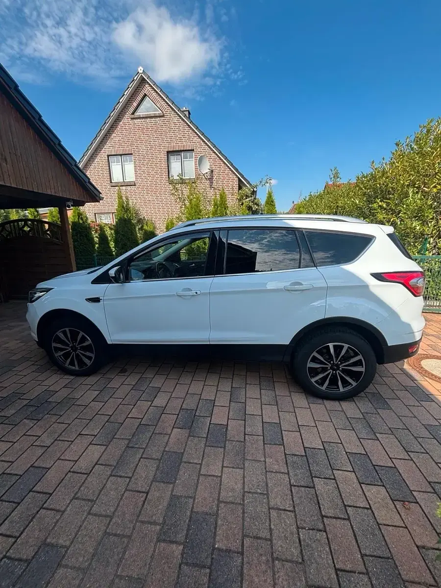 Gebraucht Ford Kuga 150 PS (110 kW) 2019 Weiß SUV
