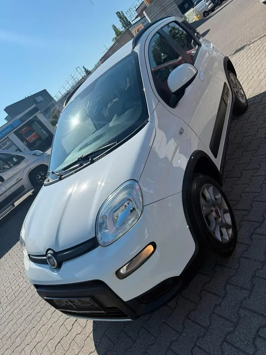 Gebraucht Fiat Panda 4x4 85 PS (62 kW) 2013 Weiß Kleinwagen