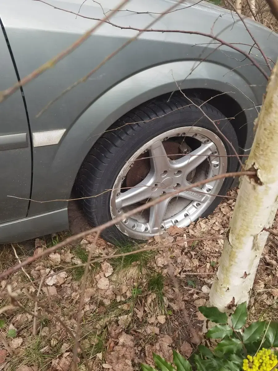 Brugt Opel Vectra 120 HK (88 kW) 2004 Stationcar