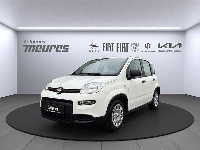 Neu Fiat Panda 69 PS (50 kW) 2025 Weiß Limousine