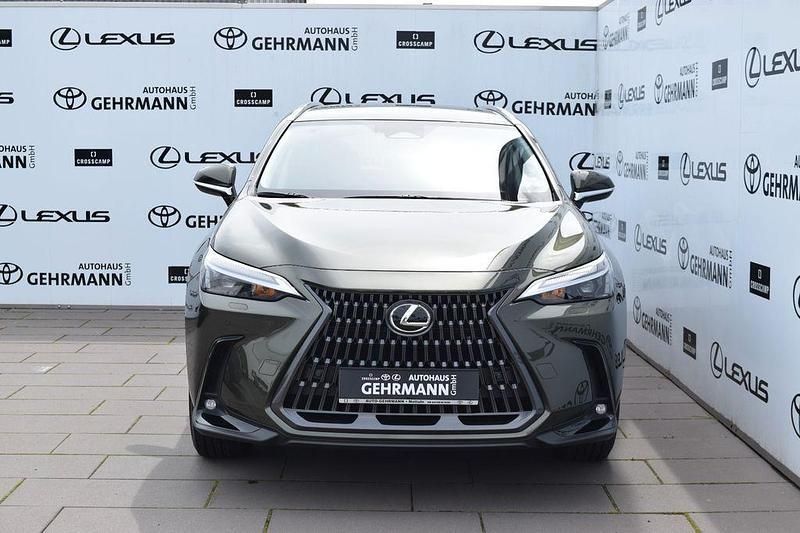 Gebraucht Lexus NX450h+ Business Edition 309 PS (227 kW) 2025 Grün SUV