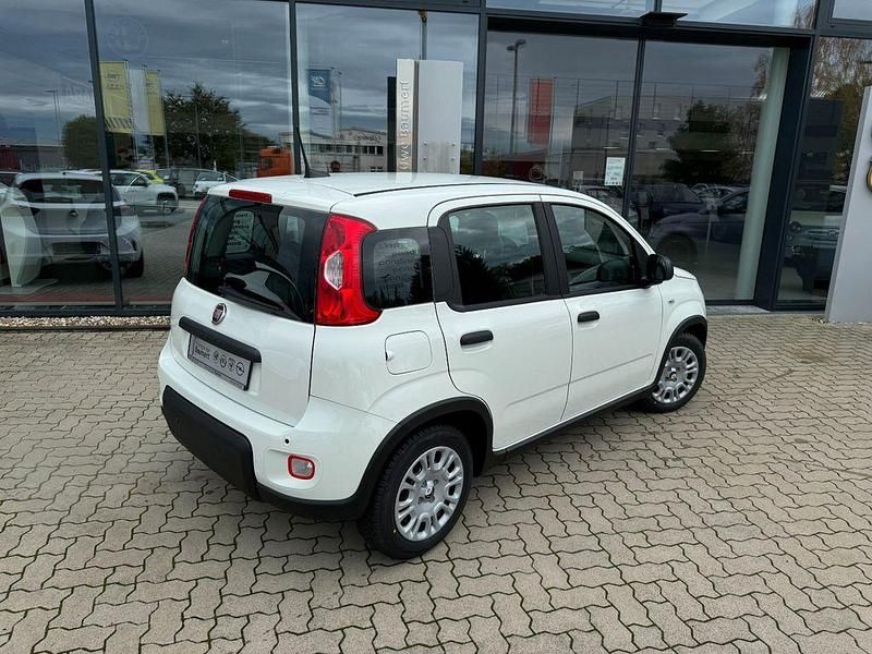 Gebraucht Fiat Panda 69 PS (50 kW) 2024 Weiß Limousine