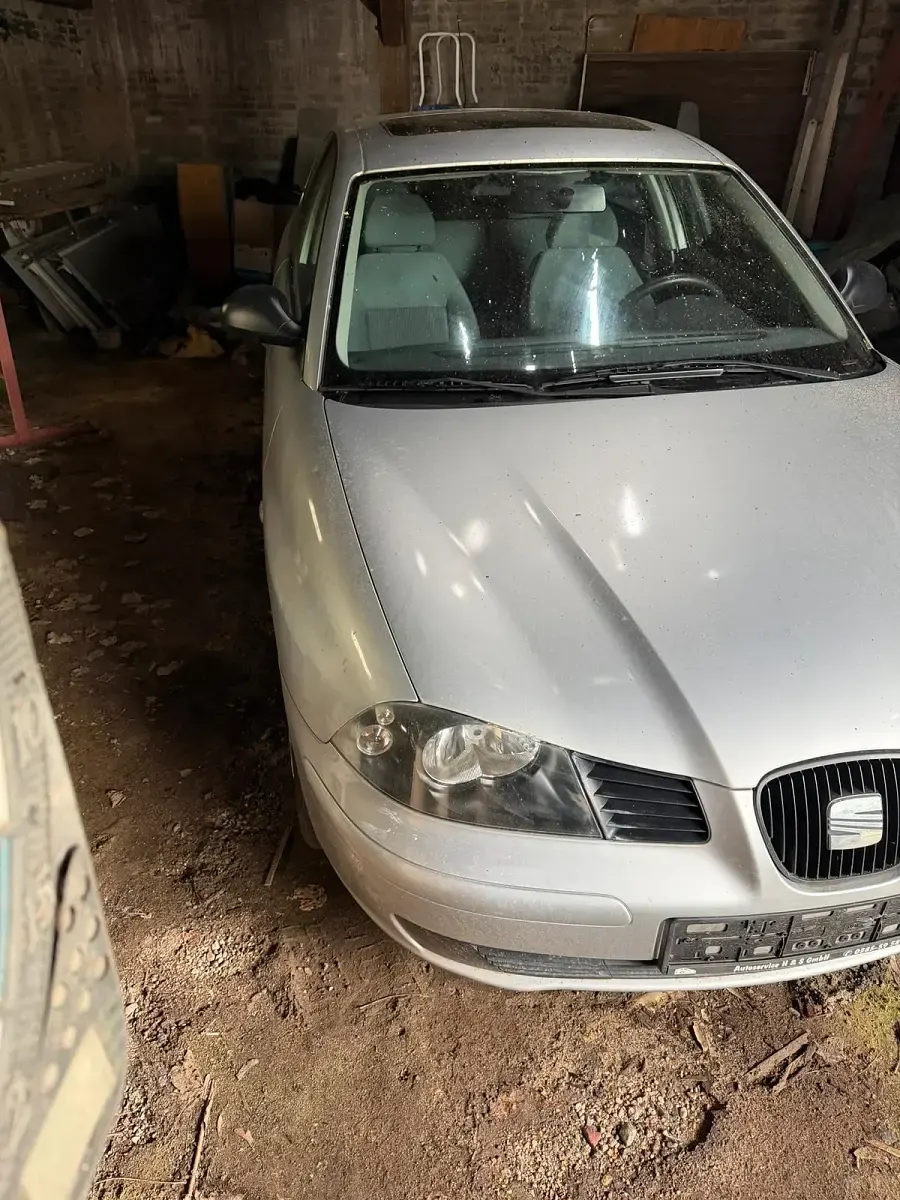 Gebraucht Seat Ibiza 2002 Silber Kleinwagen
