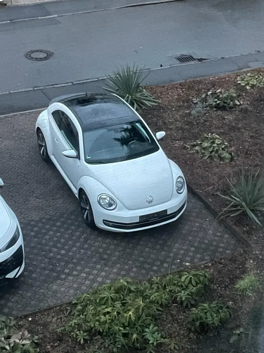 Gebraucht VW Beetle Cup 160 PS (117 kW) 2014 Weiß Kleinwagen