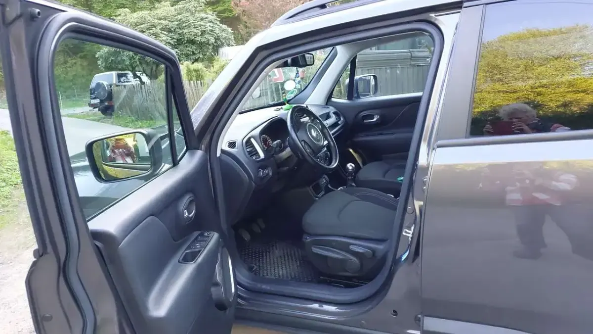 Gebraucht Jeep Renegade Limited 120 PS (88 kW) 2019 SUV