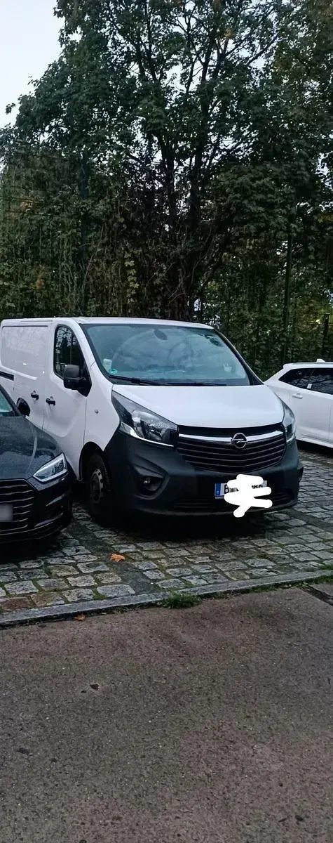 Gebraucht Opel Vivaro 122 PS (89 kW) 2018 Weiß Van / Kleinbus