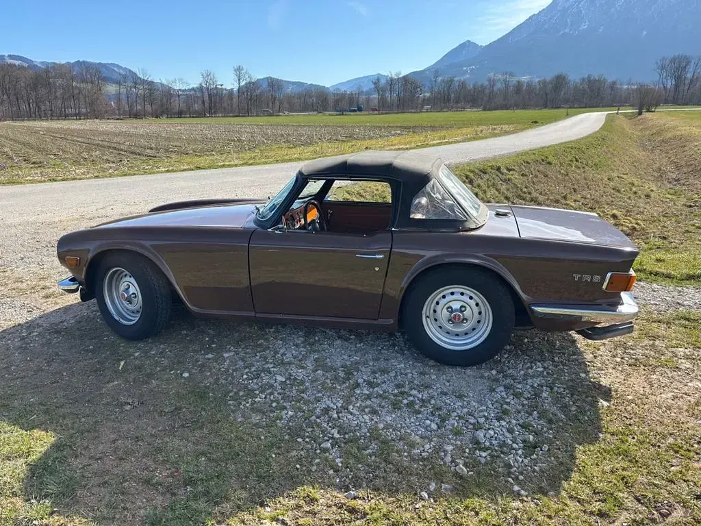Gebraucht Triumph TR6 122 PS (89 kW) 1973 Braun Cabrio