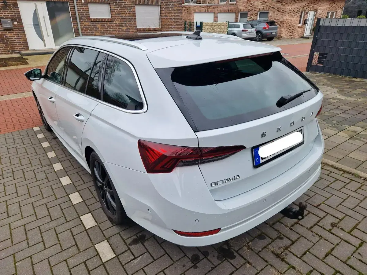 Gebraucht Skoda Octavia 149 PS (109 kW) 2020 Weiß Kombi