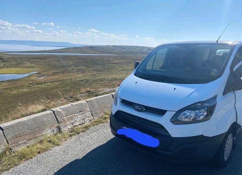 Gebraucht Ford Transit Custom Basis 101 PS (74 kW) 2013 Pickup