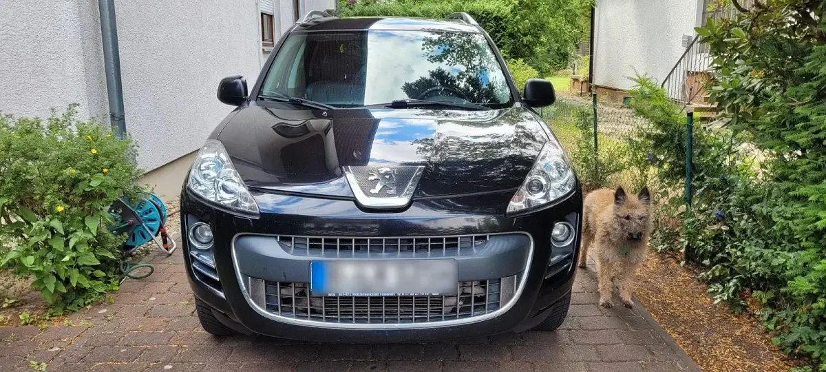 Gebraucht Peugeot 4007 156 PS (114 kW) 2010 Schwarz SUV