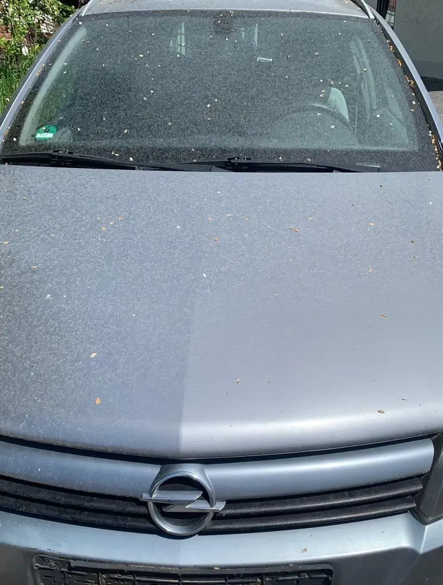 Gebraucht Opel Astra 2004 Blau Kombi