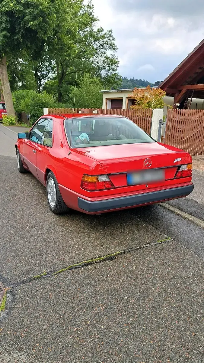 Gebraucht Mercedes 230 132 PS (97 kW) 1988 Rot Coupé