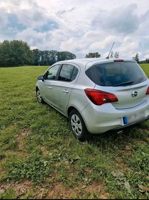 Usata Opel Corsa 90 CV (66 kW) 2017 Argento Utilitaria