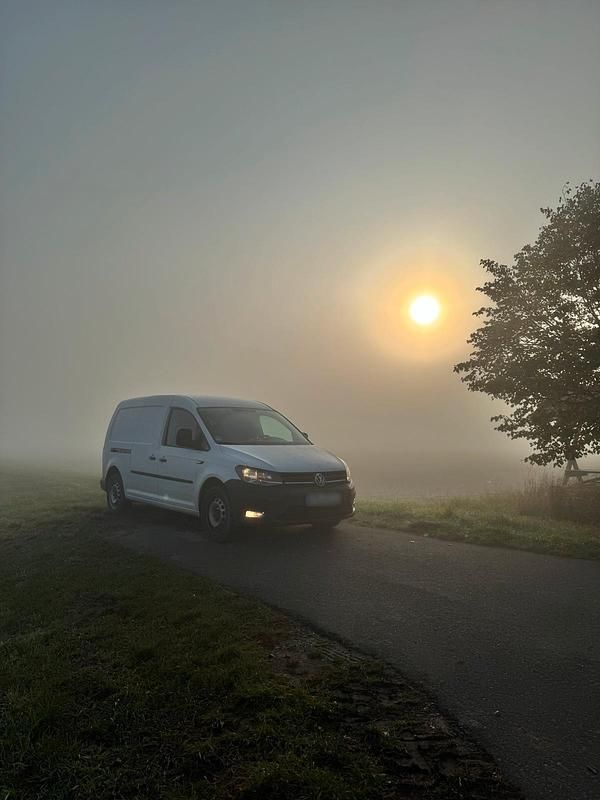 Brugt VW Caddy 150 HK (110 kW) 2017 Hvid MPV