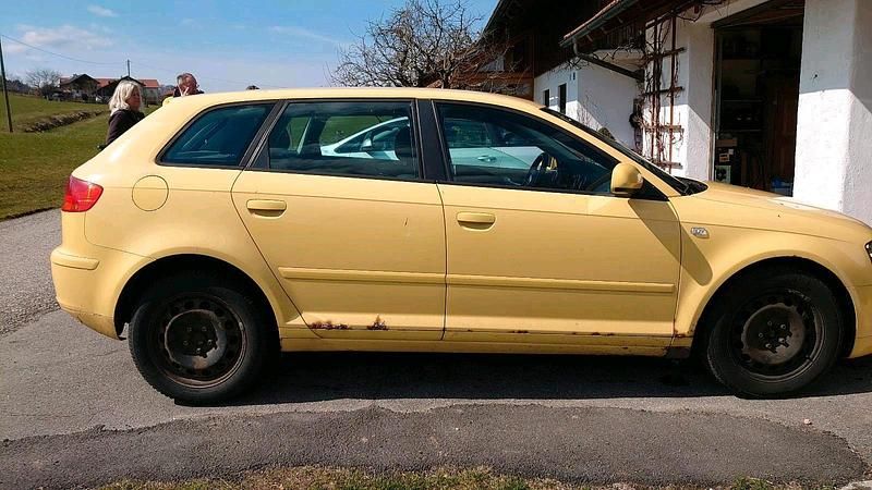 Gebraucht Audi A3 102 PS (75 kW) 2006 Gelb Kleinwagen