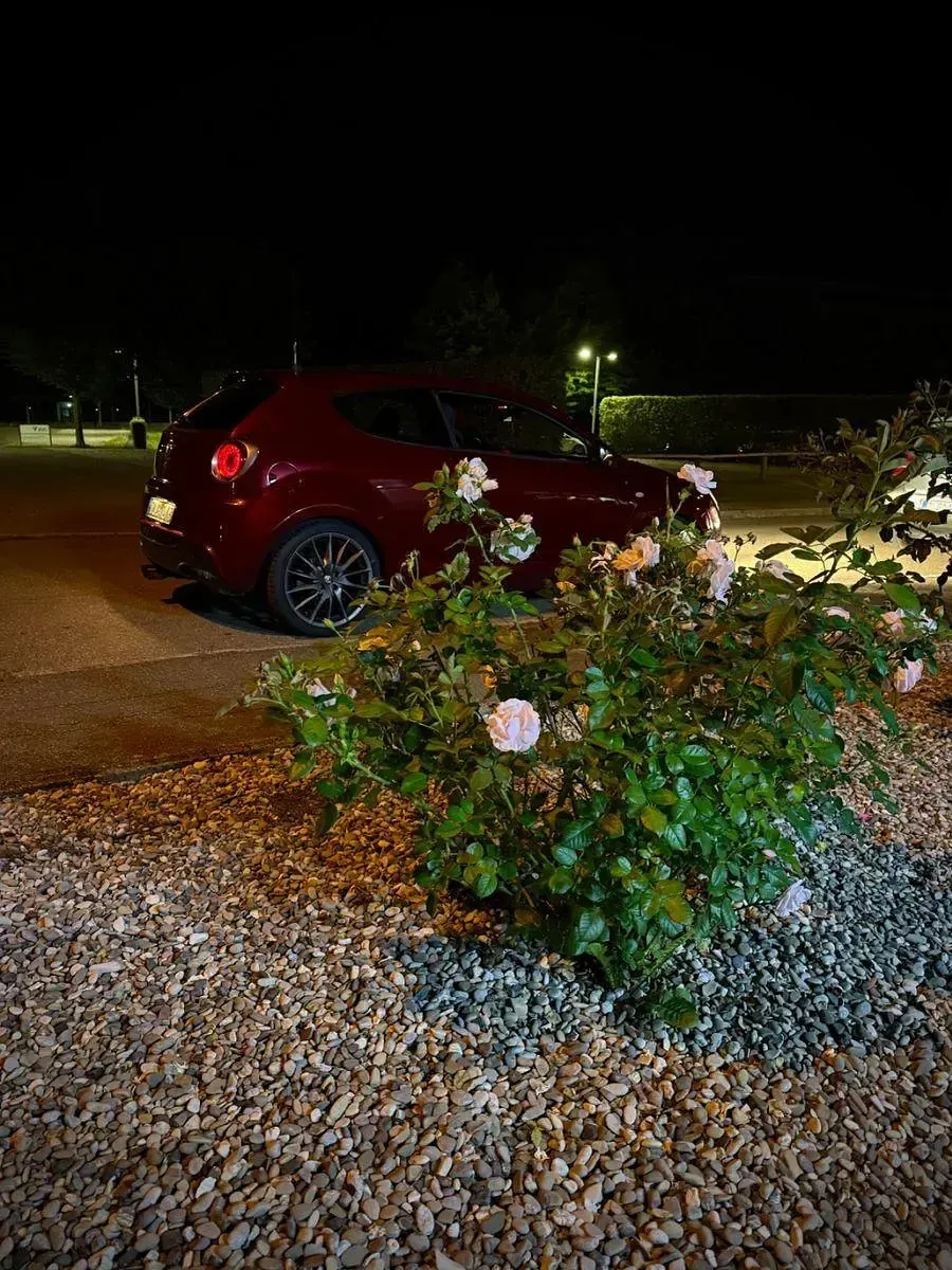 Gebraucht Alfa Romeo MiTo Quadrifoglio Verde 170 PS (125 kW) 2013 Rot Kleinwagen
