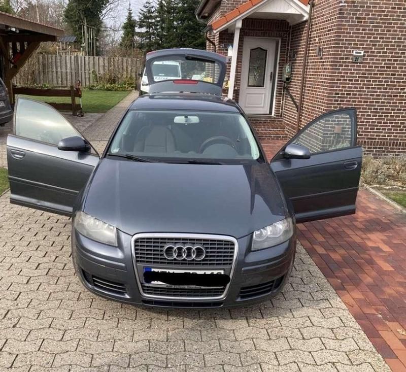 Gebraucht Audi A3 Attraction 102 PS (75 kW) 2007 Grau Kleinwagen