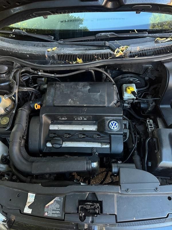 Schwarz Gebraucht 2001 VW Golf IV Kleinwagen | 700 € (Superpreis) - Bild 1/4