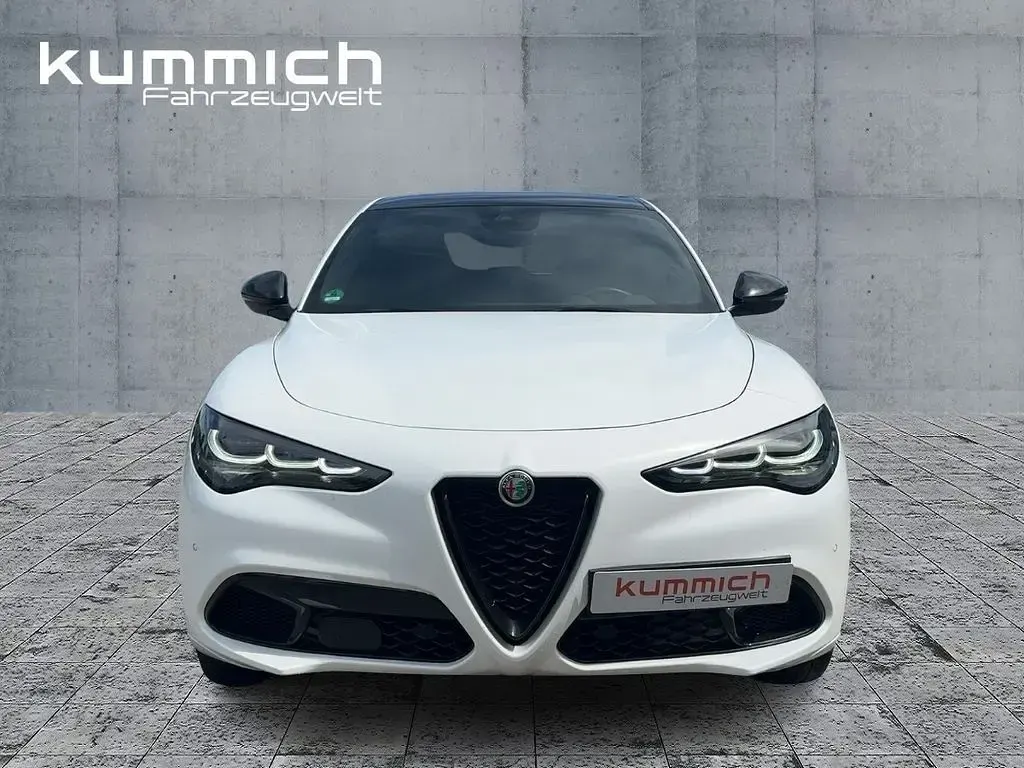 Gebraucht Alfa Romeo Stelvio 209 PS (153 kW) 2024 Weiß SUV