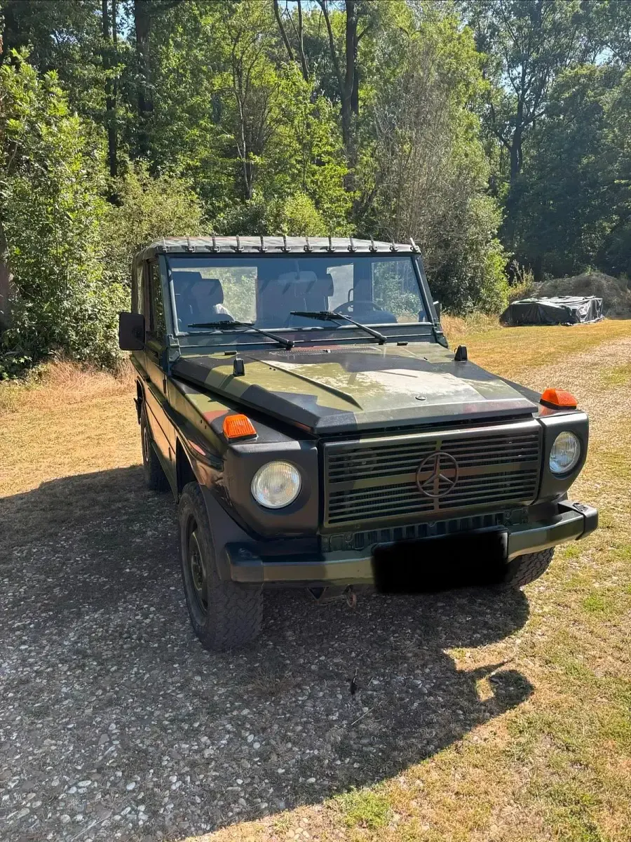 Gebraucht Mercedes G250 92 PS (67 kW) 1992 Grün SUV