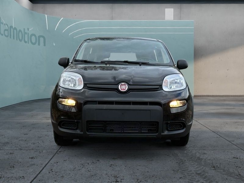 Schwarz Gebraucht 2024 Fiat Panda Kleinwagen | 14.590 € (Etwas zu teuer) - Bild 1/2
