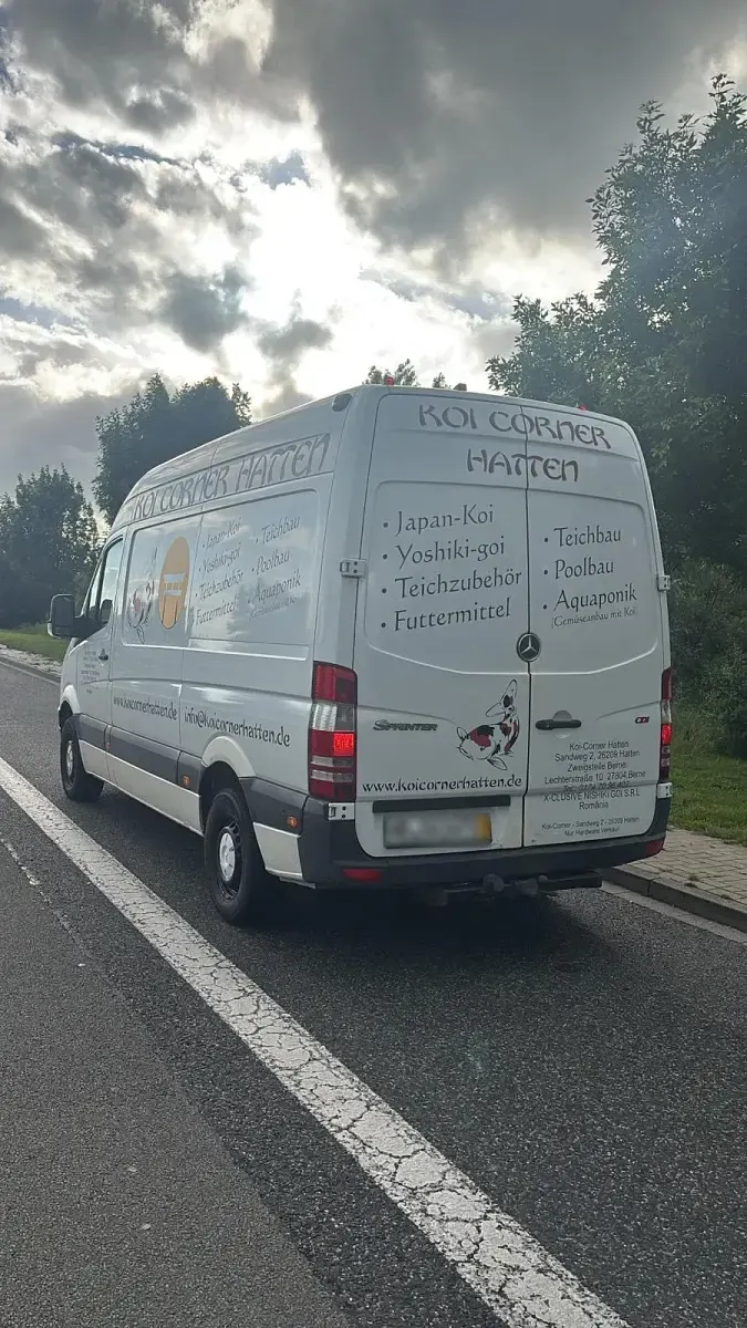 Gebraucht Mercedes Sprinter 109 PS (80 kW) 2008 Weiß