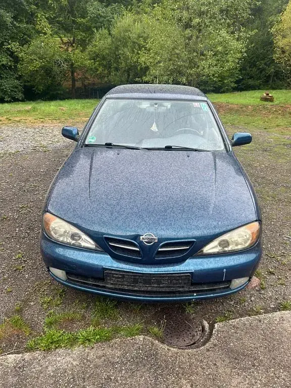 Gebraucht Nissan Primera Comfort 114 PS (83 kW) 2000 Grün Kombi