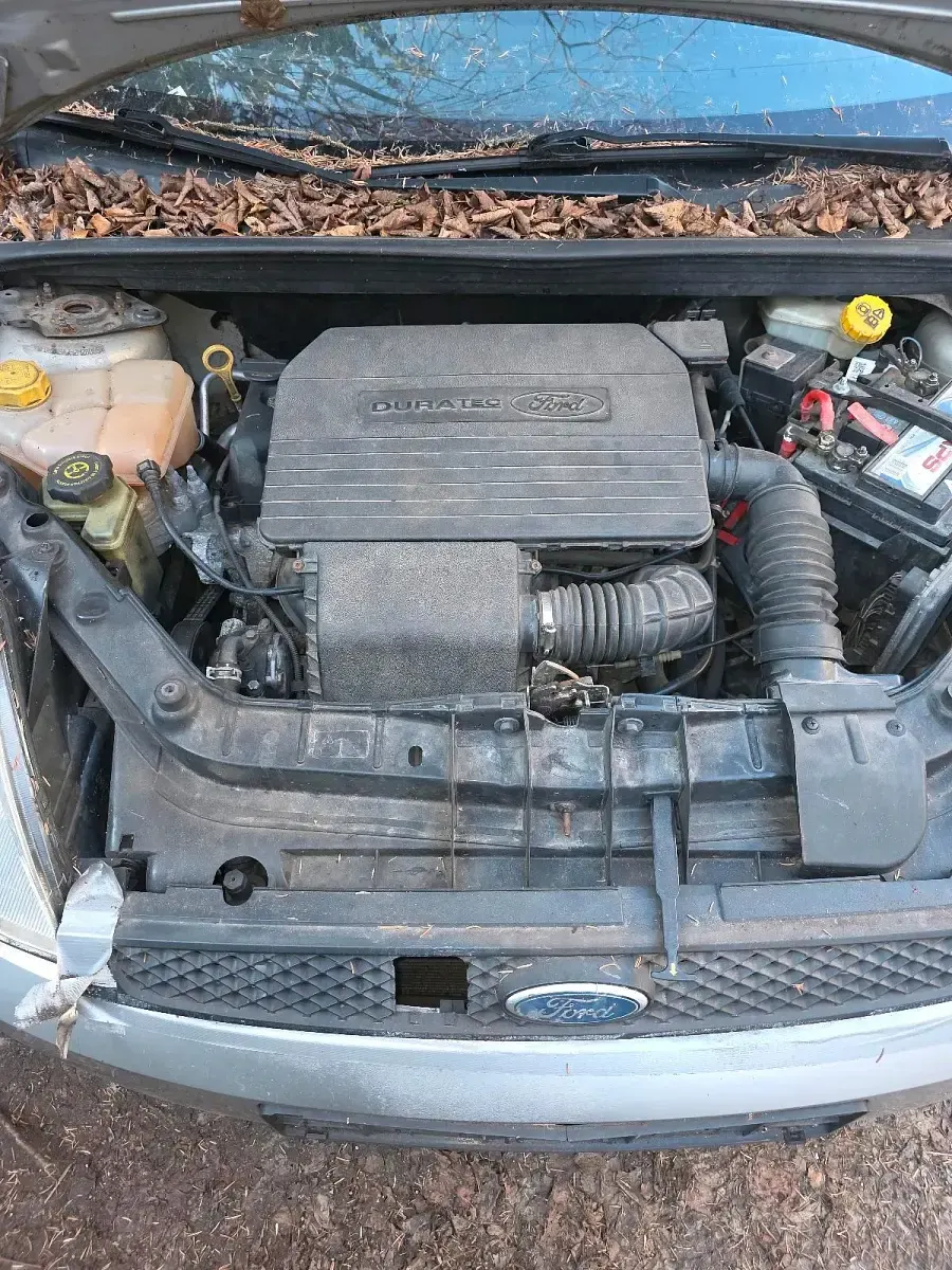Usata Ford Fiesta 70 CV (51 kW) 2001 Grigio Utilitaria