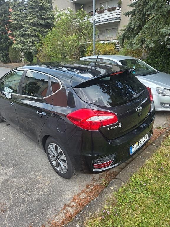 Używany Kia Ceed Edition 7 99 KM (72 kW) 2016 Hatchback