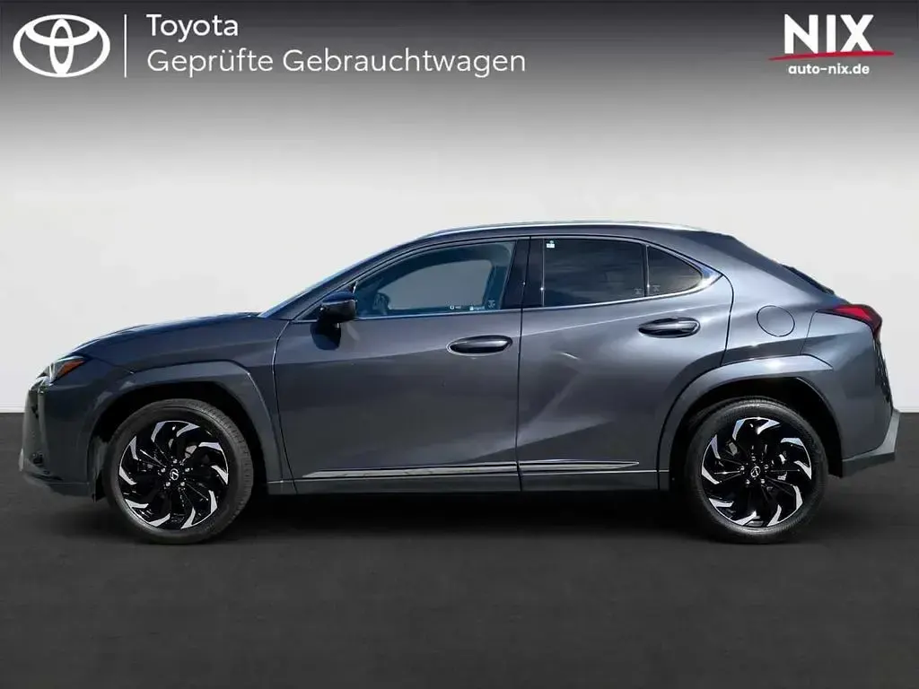 Gebraucht Lexus UX 250h Luxury Line 184 PS (135 kW) 2023 Grau SUV