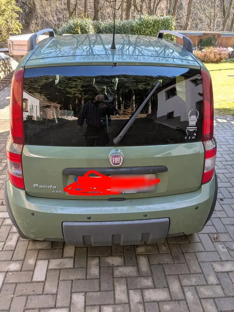 Gebraucht Fiat Panda 4x4 69 PS (50 kW) 2010 Grün Kleinwagen