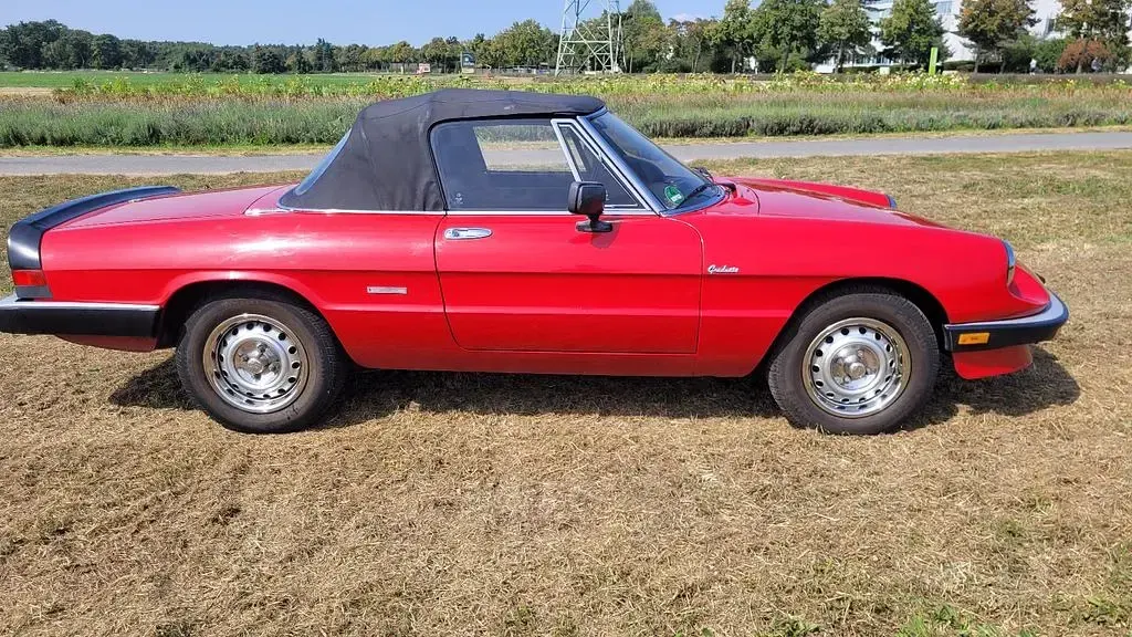 Gebraucht Alfa Romeo Spider 116 PS (85 kW) 1987 Rot Cabrio