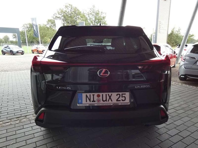 Gebraucht Lexus UX 250h 184 PS (135 kW) 2022 Not provided SUV