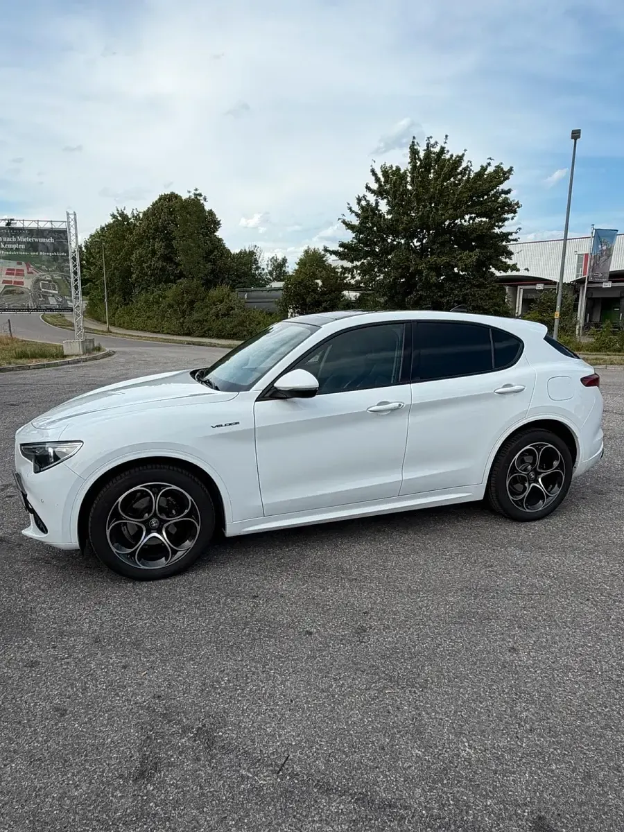 Gebraucht Alfa Romeo Stelvio Veloce 209 PS (153 kW) 2020 Weiß SUV