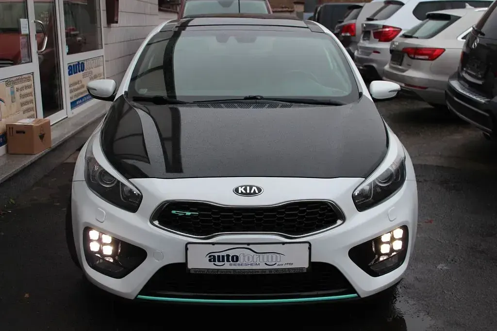 Gebraucht Kia ProCeed GT-Track 204 PS (150 kW) 2014 Weiß Kleinwagen