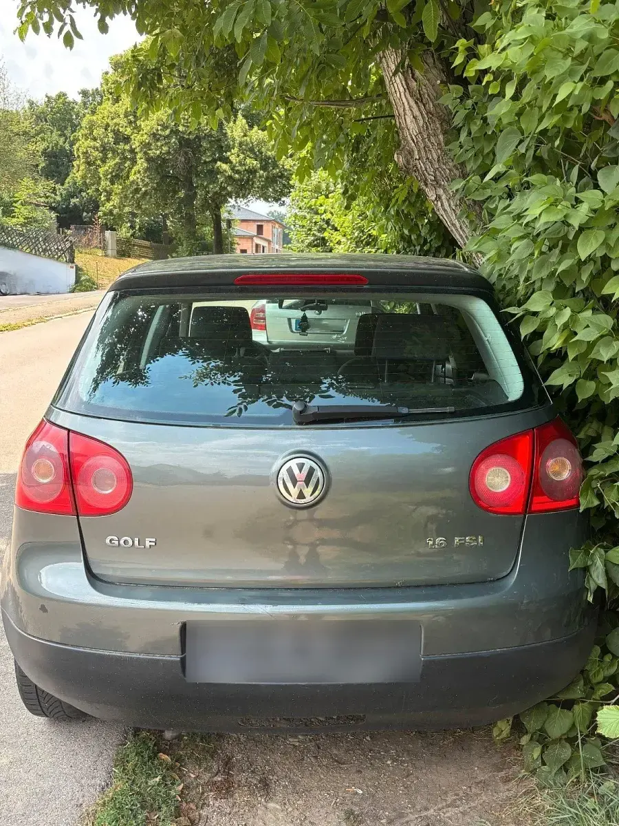 Gebraucht VW Golf IV 116 PS (85 kW) 2004 Grün Limousine