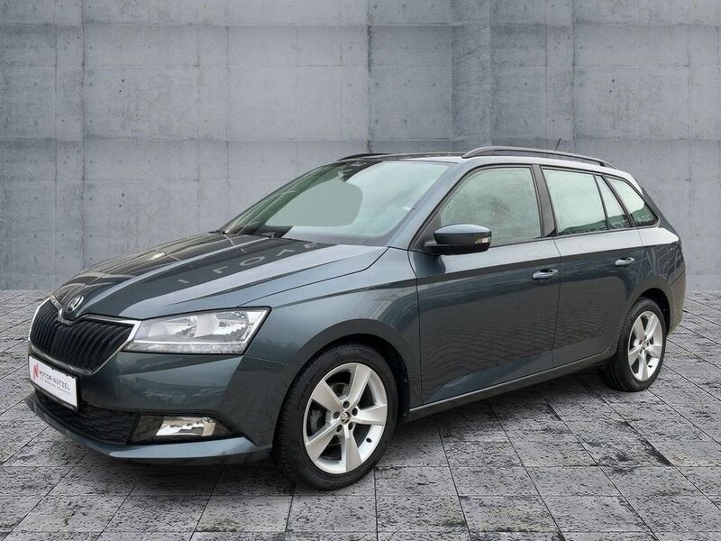Gebraucht Skoda Fabia Active 95 PS (69 kW) 2021 Grau Kleinwagen
