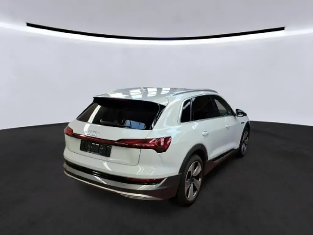 Gebraucht Audi e-tron Advanced Plus 300 kW (408 PS) 2023 Gletscherweiß metallic (metallic) SUV