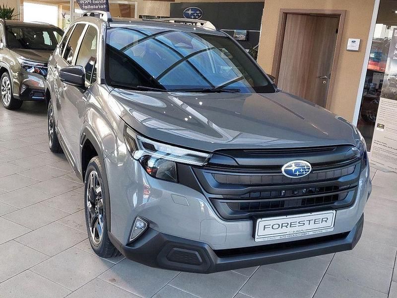 Neu Subaru Forester Active 136 PS (100 kW) 2026 Grau SUV